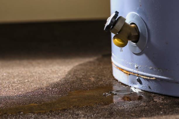Best 24/7 water damage repair  in Aledo, TX