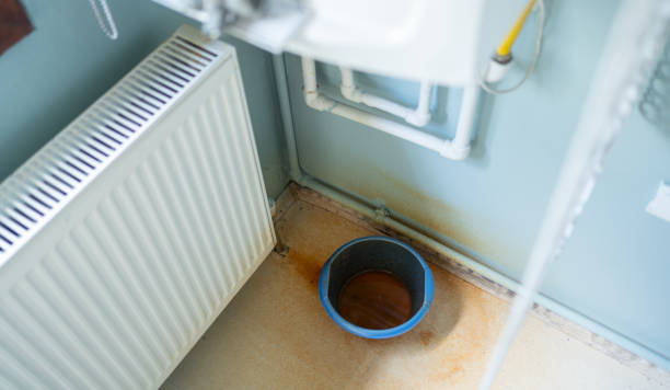 Best Water damage cleanup near me  in Aledo, TX