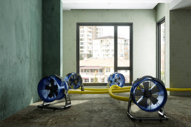 Best Water damage restoration company  in Aledo, TX